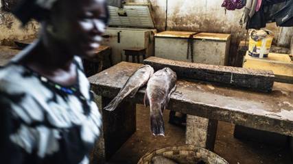 Woman in Gambian fish market (Credit: Getty Images)