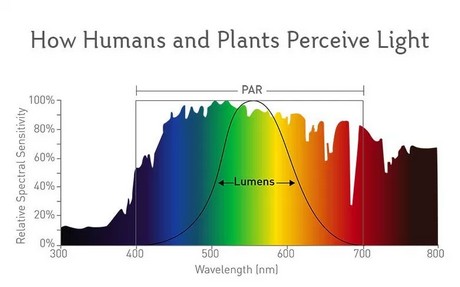 https://agfstorage.blob.core.windows.net/misc/HD_com/2019/08/08/lumigrowlighting.jpg